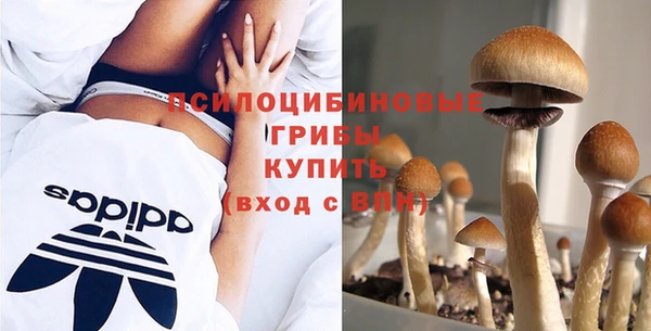 MDMA Беломорск