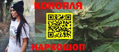 крисы Боровичи