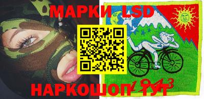 крисы Боровичи