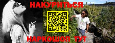 крисы Боровичи