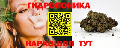 крисы Боровичи