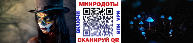 Псилоцибиновые грибы Psilocybe  Маркс 
