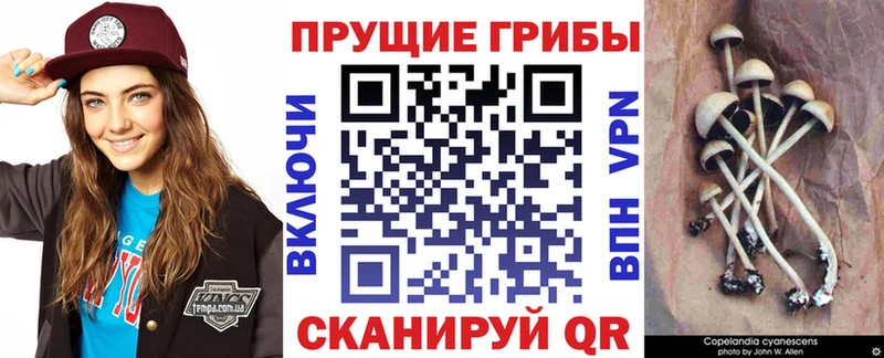 Псилоцибиновые грибы мухоморы Маркс